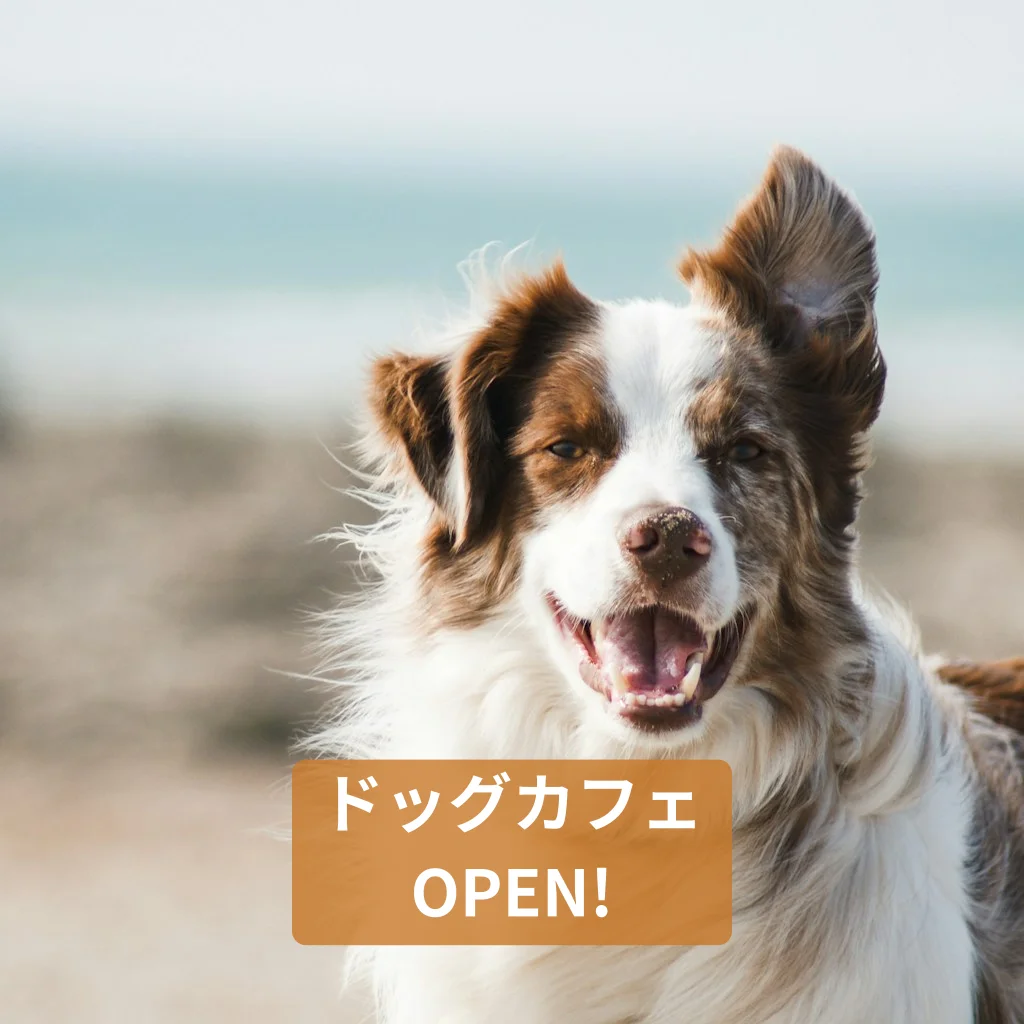 ドッグカフェOPEN！ワンちゃんと一緒に